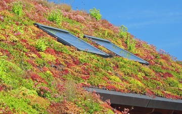 Humbleton living roof systems